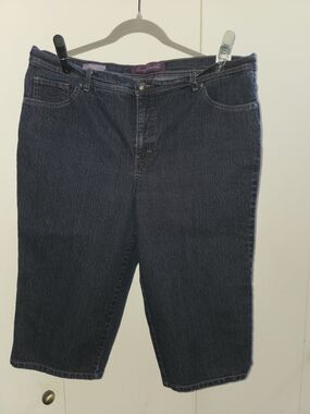 Avenue Dark Indigo Jean Shorts